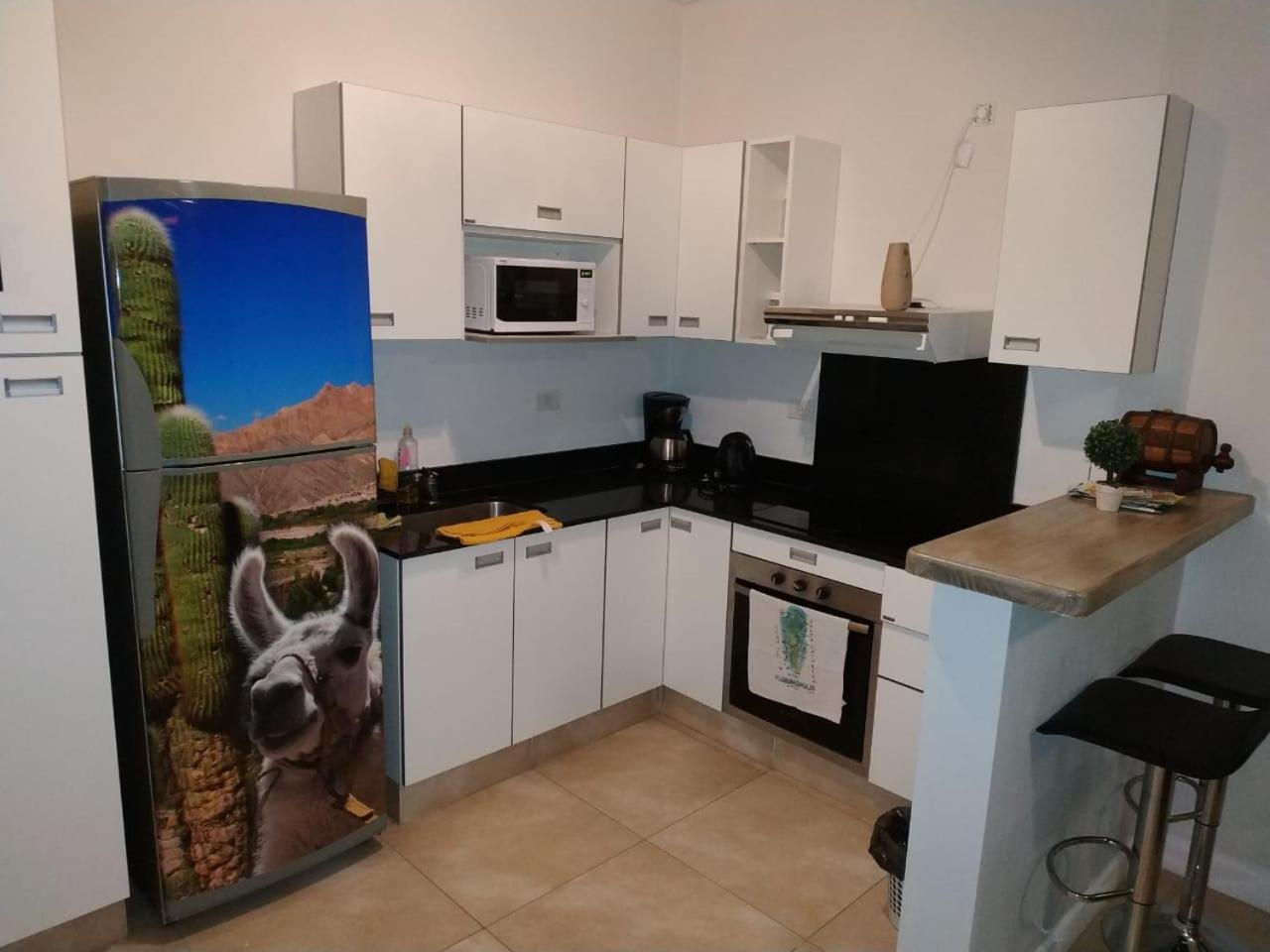 Apartamento Leguizamon Apartment Salta Ngoại thất bức ảnh